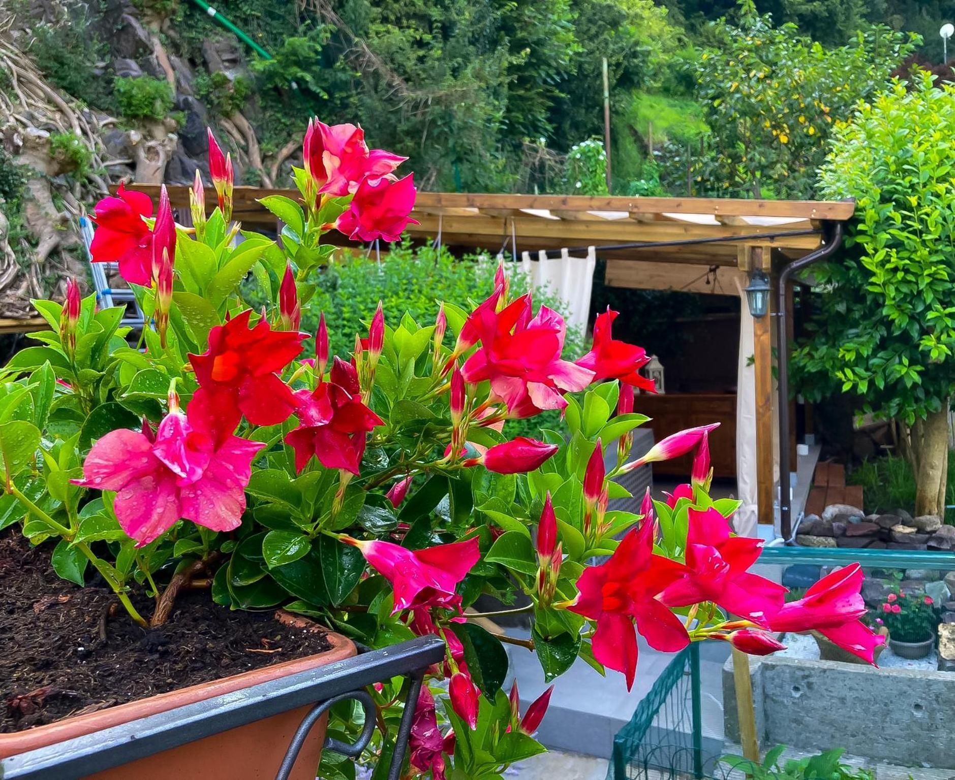 La Casa Sulla Roccia Hotel Pisogne Luaran gambar